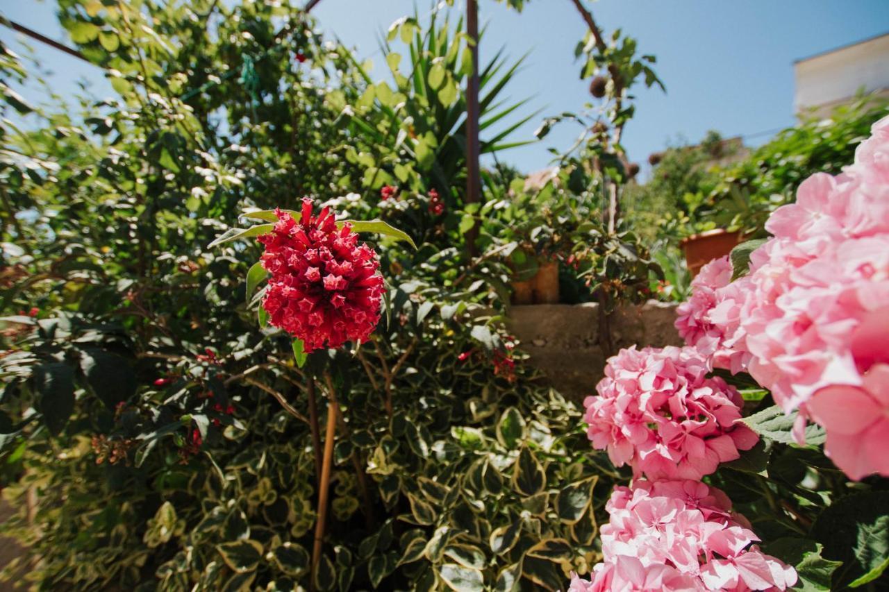 Blaise Daire Trogir Dış mekan fotoğraf
